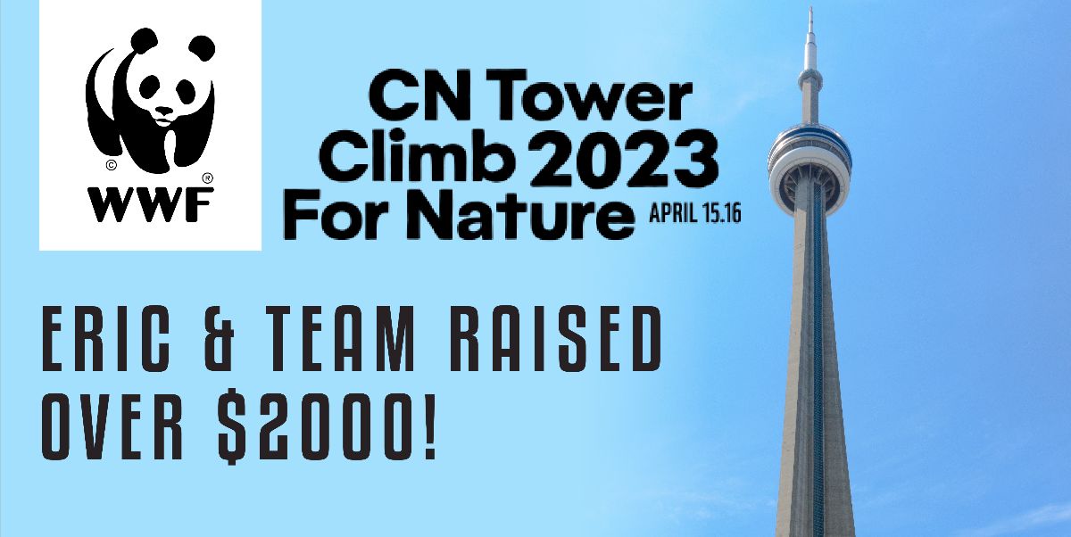 CN tower climb 2023 CN tower climb 2023