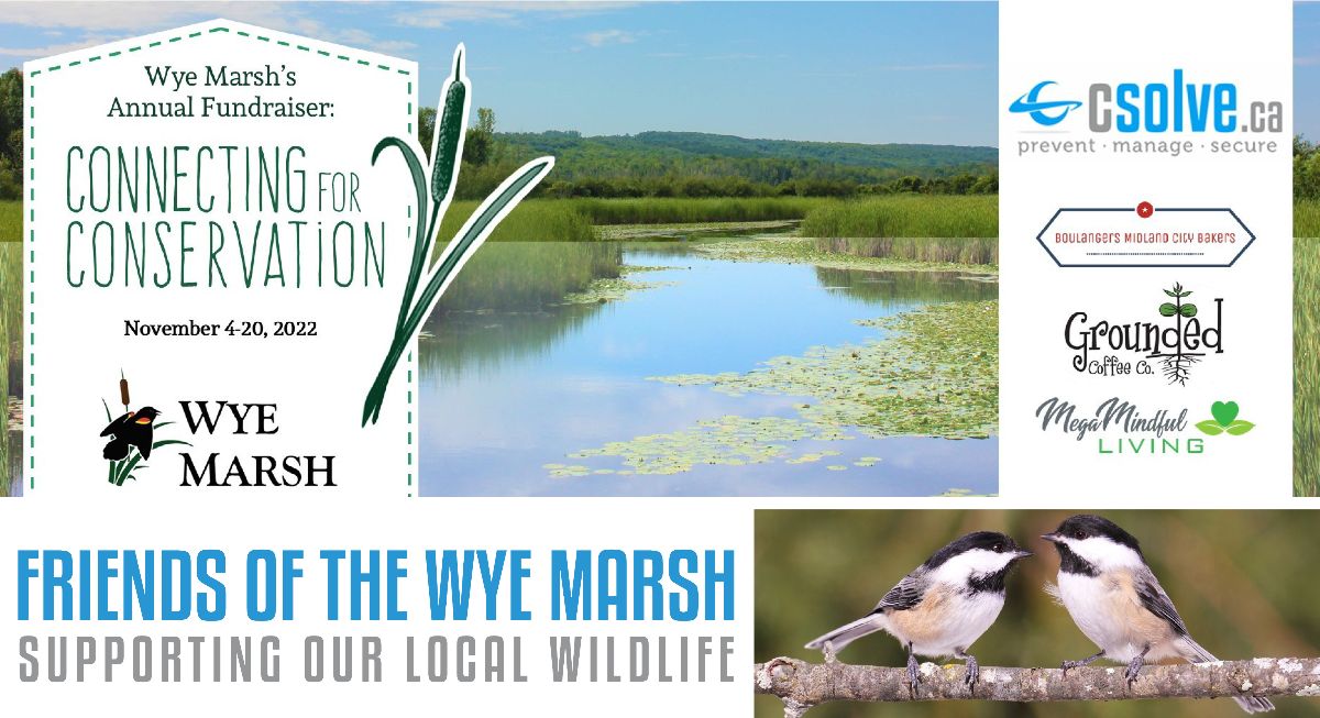 friends of the wye marsh friends of the wye marsh